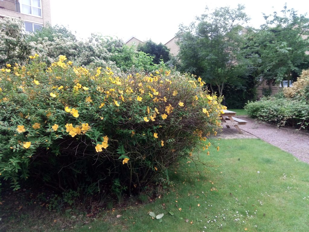 vodafone smart ultra 7 camera 2