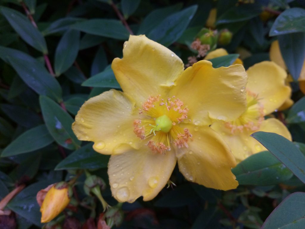 vodafone smart ultra 7 camera 7