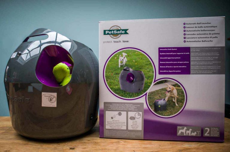 PetSafe Automatic Ball Launcher Review TechNuovo