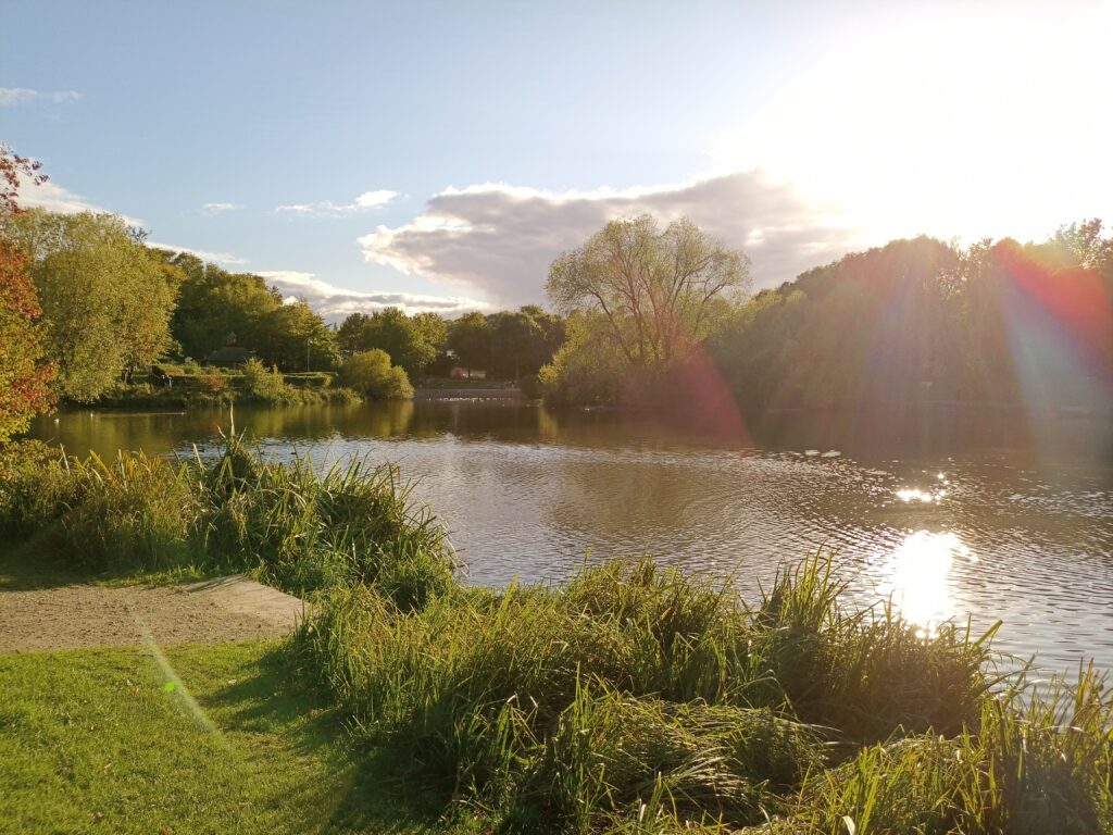 infinix zero 8 photos