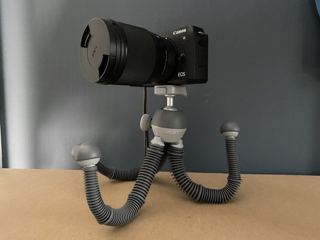 Podzilla_4-min